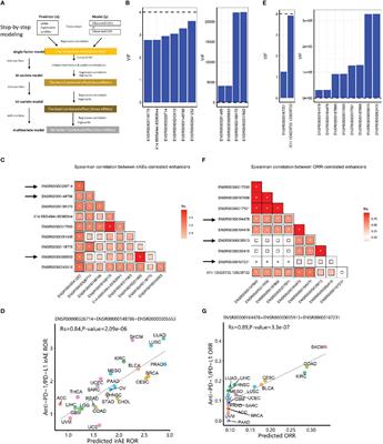 Enhancer RNA-based modeling of adverse events and objective responses of cancer immunotherapy reveals associated key enhancers and target genes